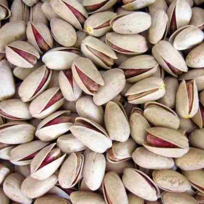 قیمت خرید پسته اکبری تازه عمده به صرفه و ارزان